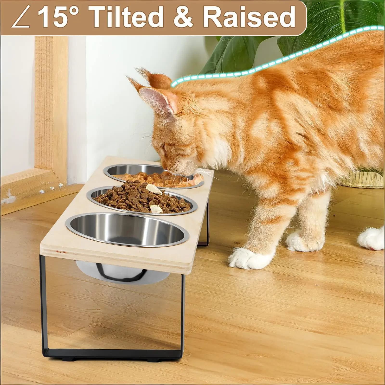Elevated Cat Bowls Feeder 15° Tilted Raised Feeding & Watering Supplies Pet 3 Stainless Steel Bowls with Stand for Cats Puppies