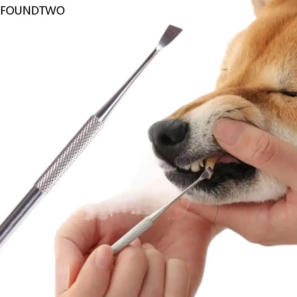 Pet Teeth Cleaning Tool Stainless Steel Double Head Tartar Calculus Remover Stick Dental Stones Scraper Teeth Care Supplies