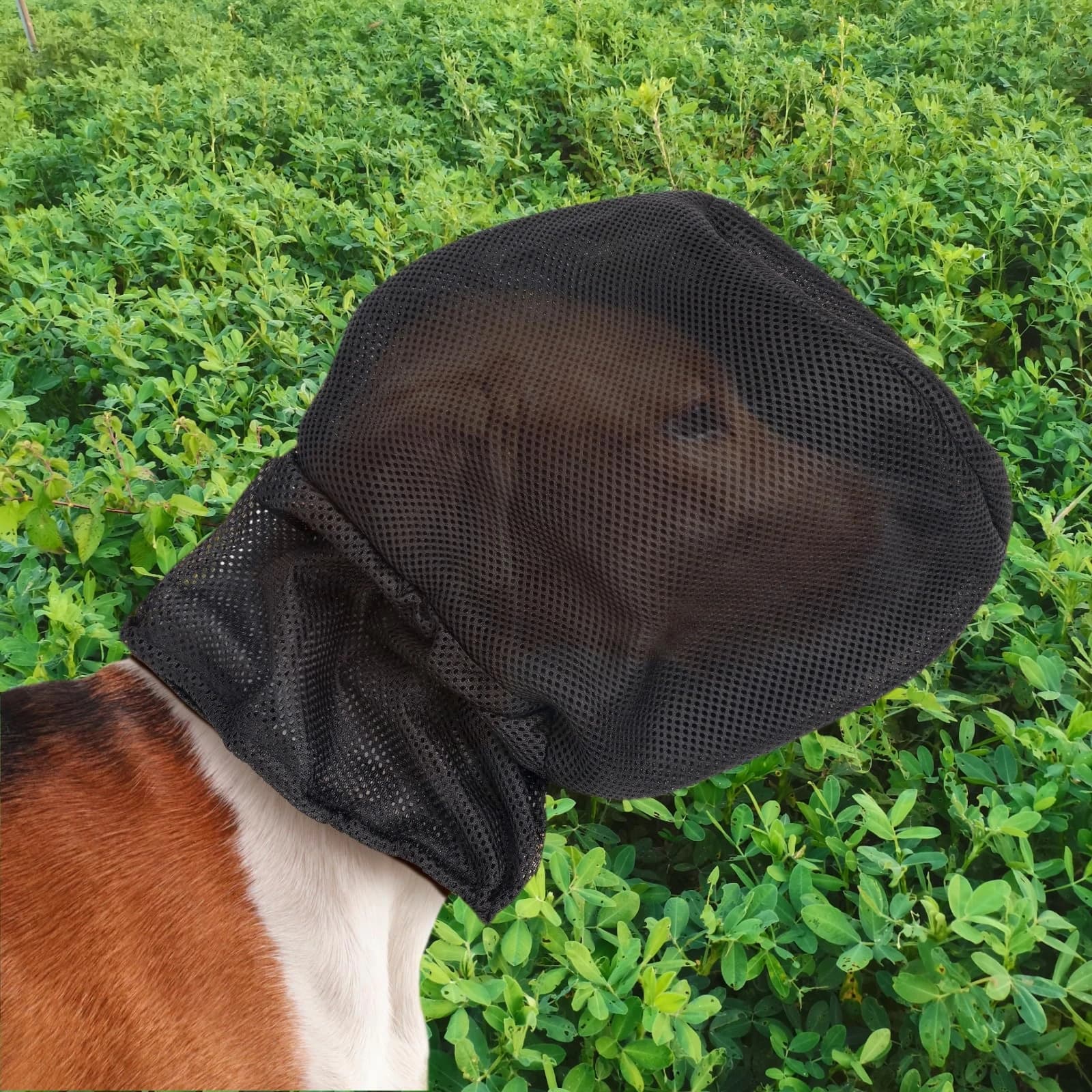 Dog Protective Mask Prevents Pet Facial Injuries. Suitable for Hiking Outdoor Adventure Breathable Protective Veil Mask For Dogs