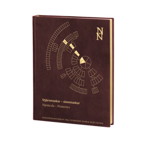 Stjärnmaskar - Slemmaskar. Sipuncula - Nemertea (bok, halvfranskt)