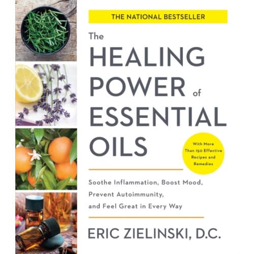 Healing Power of Essential Oils (häftad, eng)