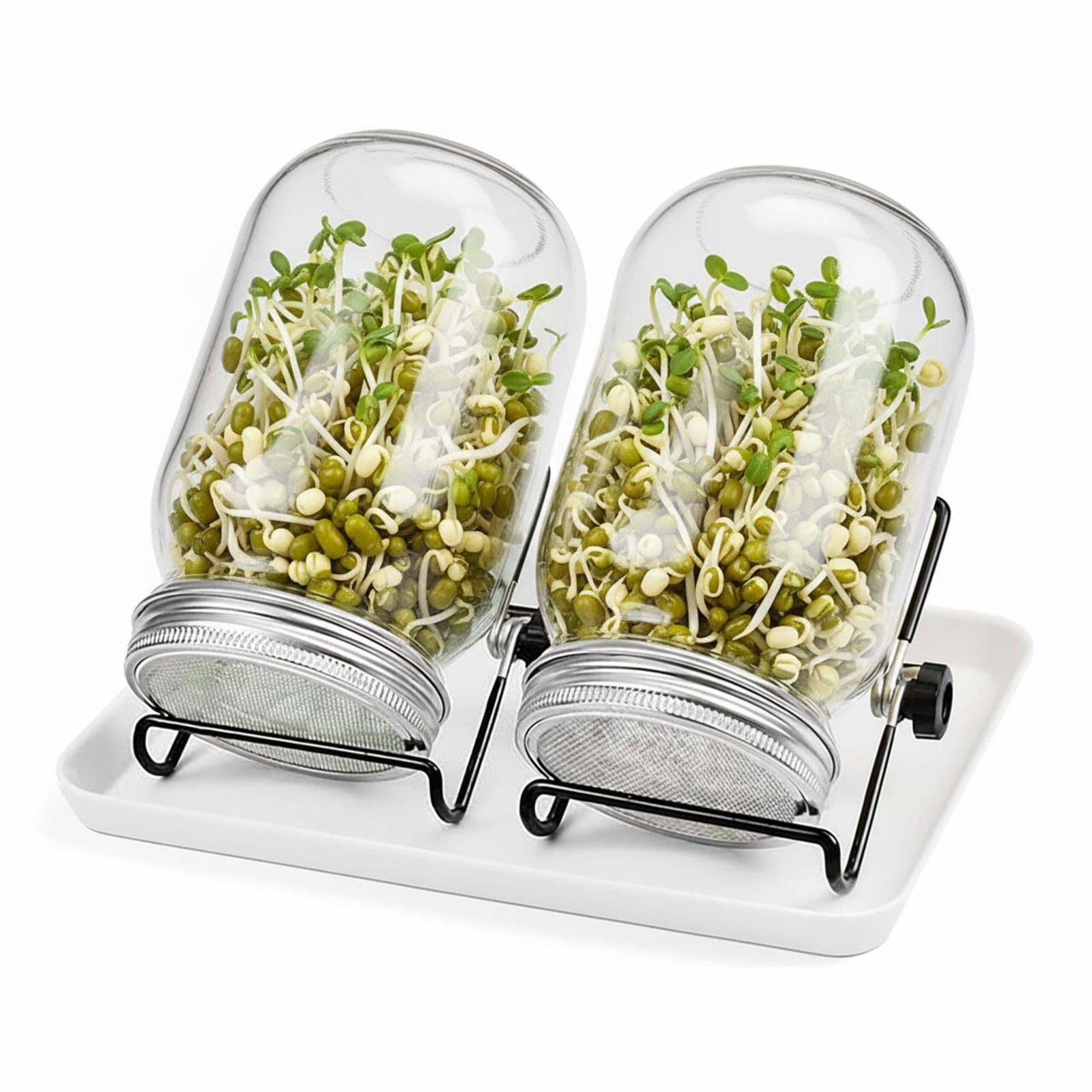 Groddburkset med hållare och bricka – 2-pack