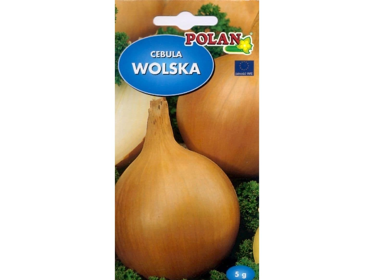 Nasiona Allium cepa - lökfrö 5g