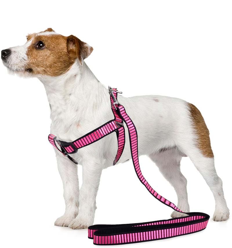 Koppel med sele 125 cm - Strl M - Rosa