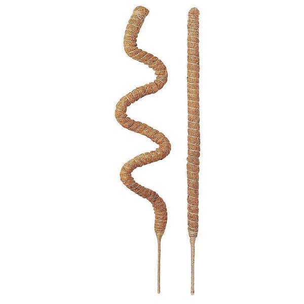 Moss Pole Monstera Plantstöd, böjbara växtstöd för inomhusväxter, växtpinnar för klätterväxter 2-pack