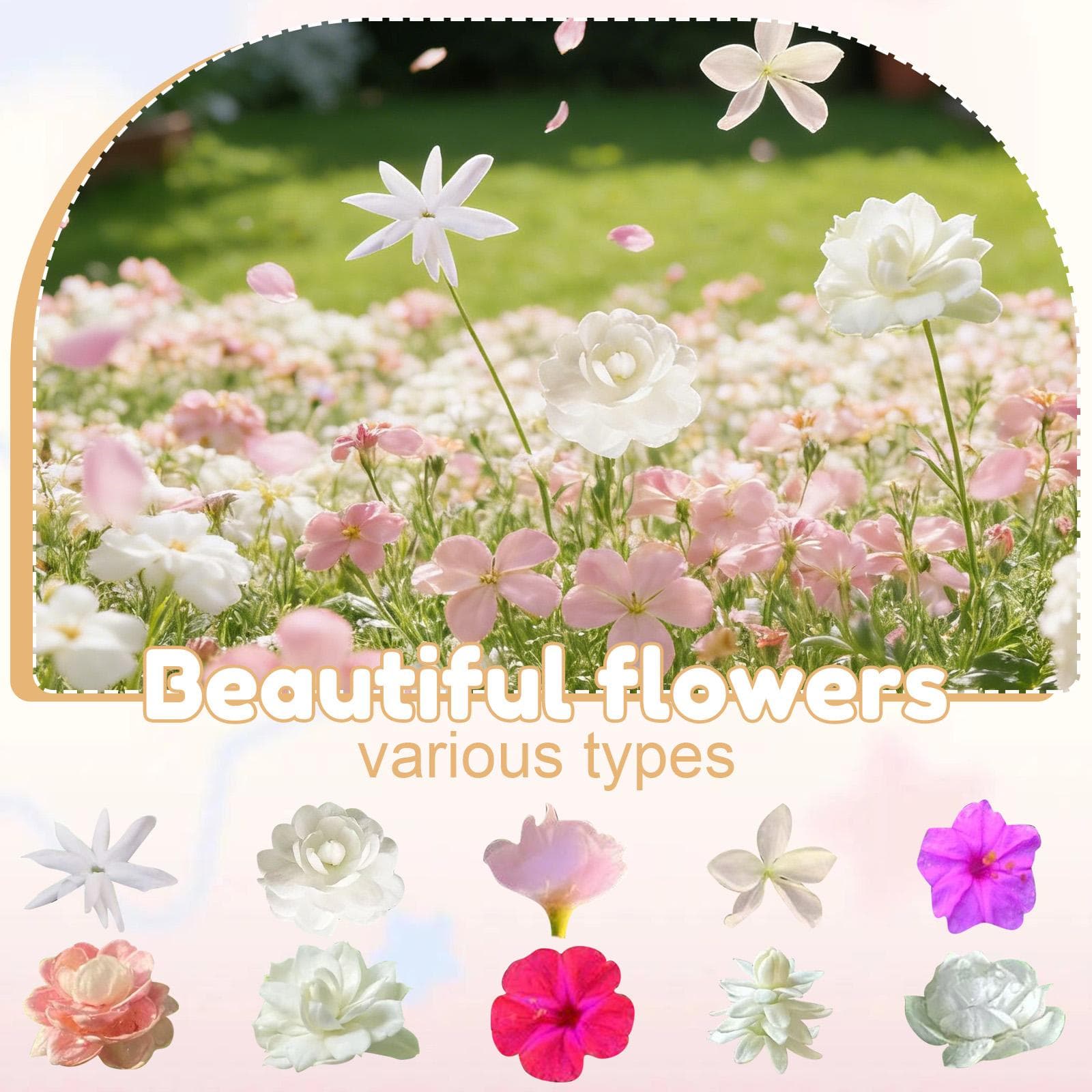 Jasmin krukväxt, 100 doftande klätterjasminblommor, Vackra klätterblommor, Lämplig för trädgårdar och utplantering utomhus.
