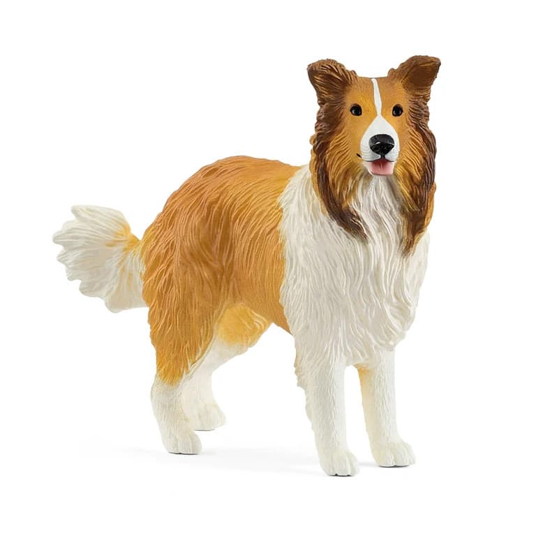 schleich® FARM WORLD Collie 13998 - Schleich -  Leksaksaffären