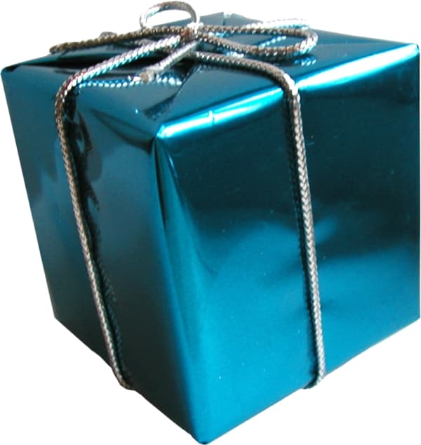 Party gift 1