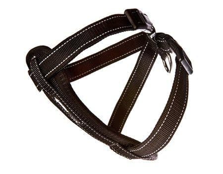 Ezydog - Harness Neoprene Black M 10-19Kg Walking/Car Harness