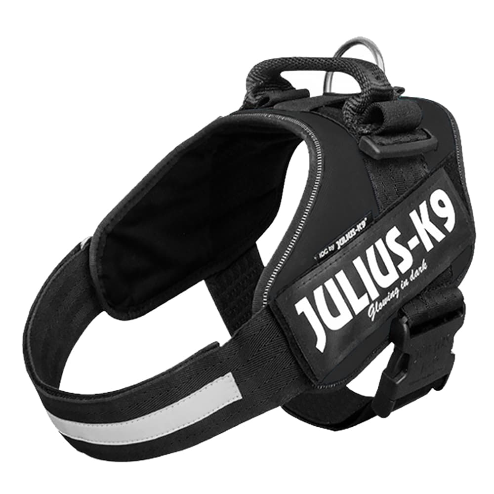 Sparset: JULIUS-K9 IDC®-Powersele, svart + JULIUS-K9® ulius-K9® gummerat koppel - Stl. 2 + 220 cm koppel (upp till 50 kg)