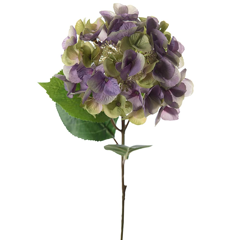 Hortensia Lila - 45 cm