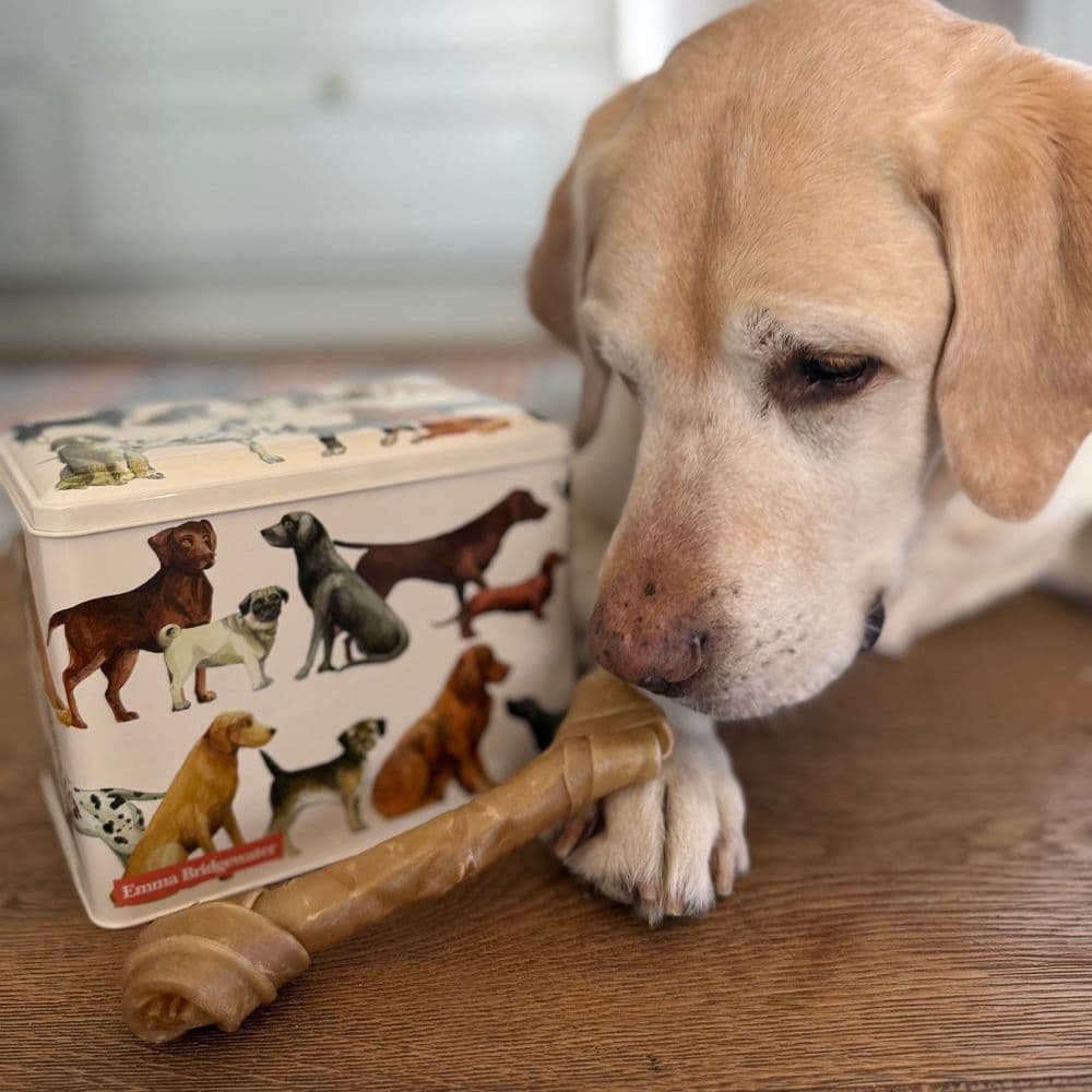 Hundburk Emma Bridgewater view 2
