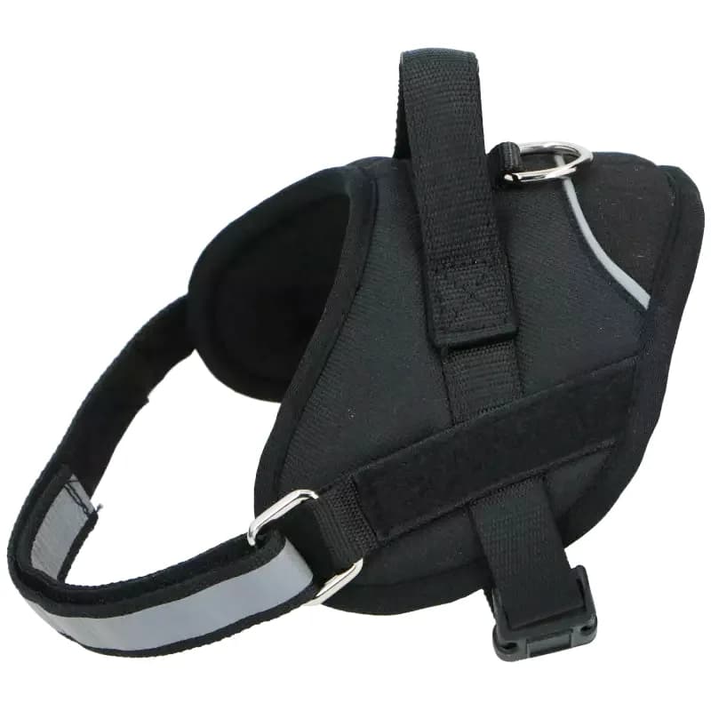 Hundsele 50-62 cm Medium  (2) view 2