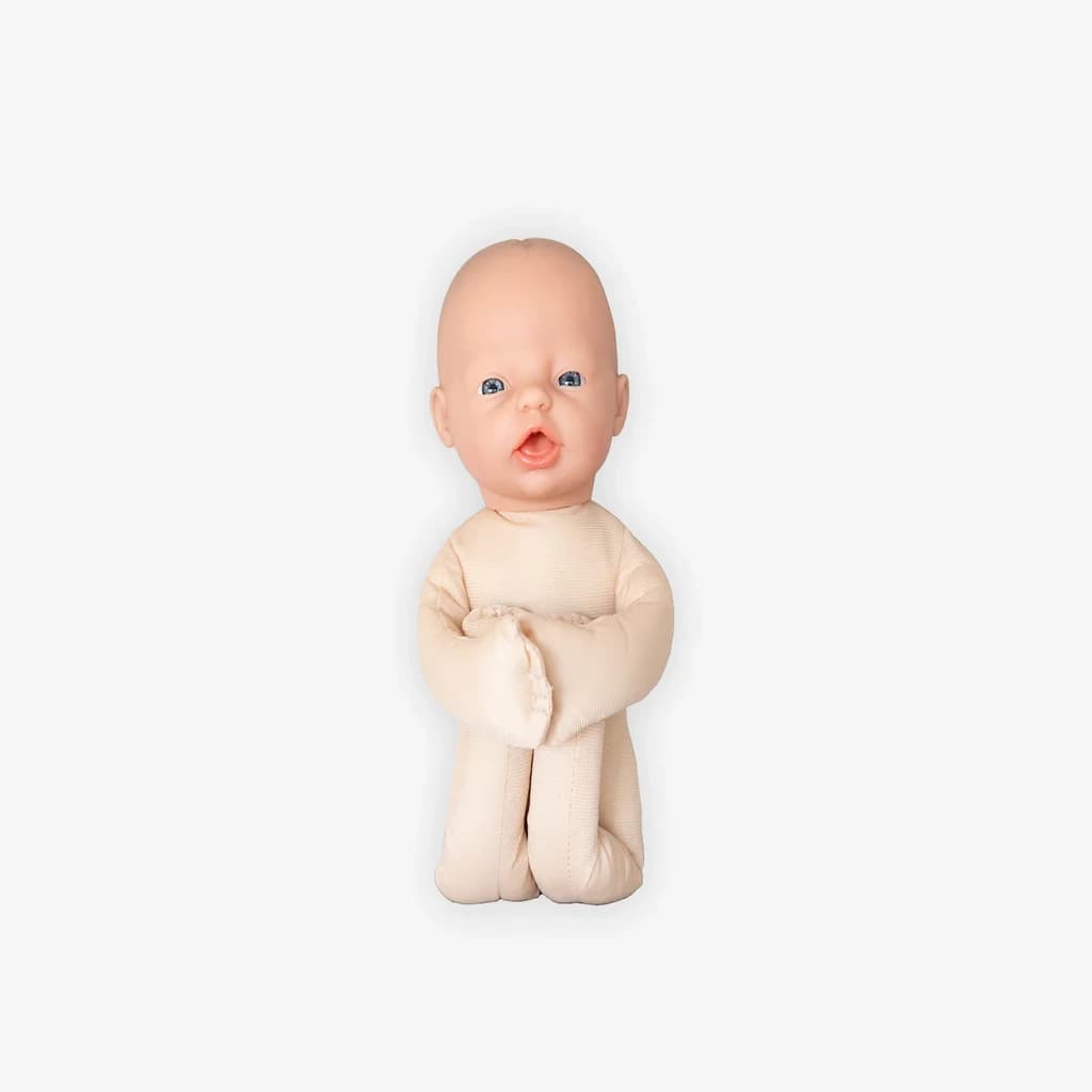 Foster modell B - Anatomisk modell