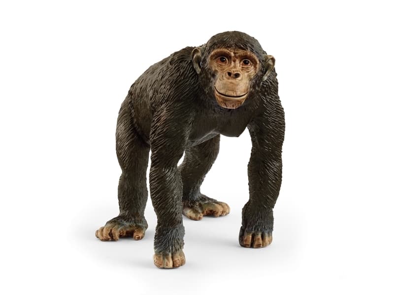 Schleich schimpans