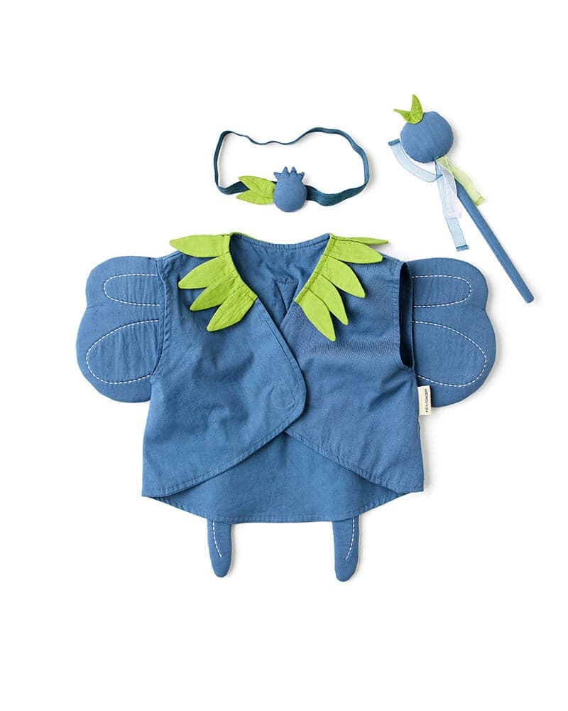 Blåbär DRESS-UP